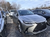 2025 Lexus NX 350h