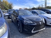 2021 Lexus UX 250h