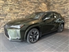 2025 Lexus UX 300h