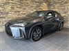 2025 Lexus UX 300h