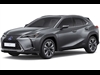 2025 Lexus UX 300h