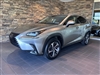 2019 Lexus NX 300