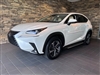 2019 Lexus NX 300h