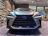 2024 Lexus NX 250