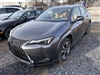 2023 Lexus UX 250h