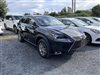 2021 Lexus NX 300