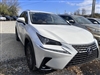 2021 Lexus NX 300h