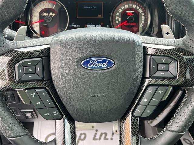 2019 Ford F-150 Raptor - Photo 12