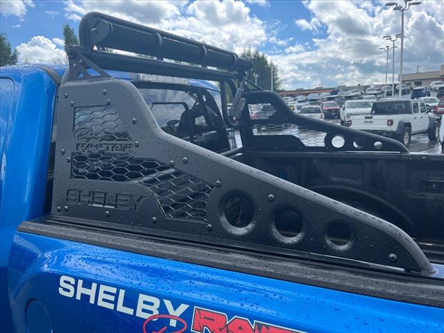 2019 Ford F-150 Raptor - Photo 19