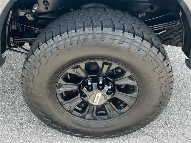 2021 Ford F-350 Super Duty Platinum - Photo 20