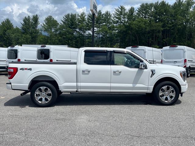 2022 Ford F-150 Platinum - Photo 2
