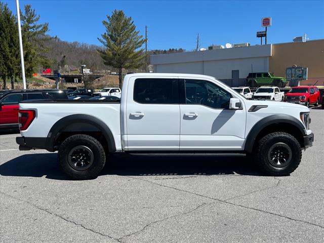 2022 Ford F-150 Raptor - Photo 2