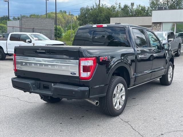 2023 Ford F-150 Platinum - Photo 3