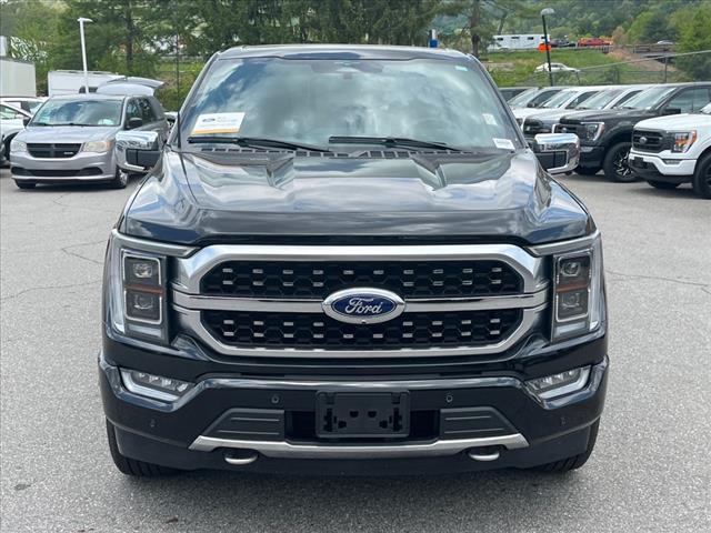 2023 Ford F-150 Platinum - Photo 5