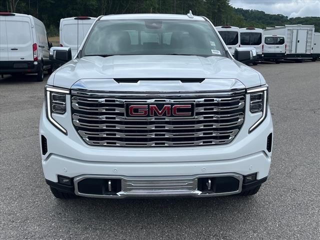 2024 GMC Sierra 1500 Denali - Photo 5