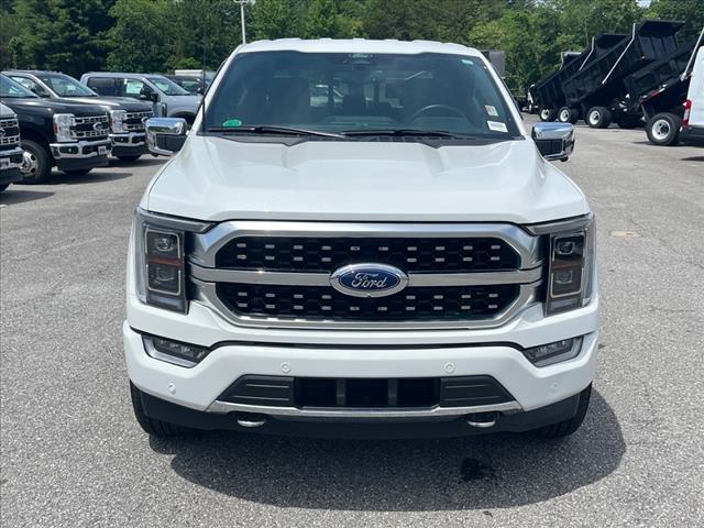 2022 Ford F-150 Platinum - Photo 6