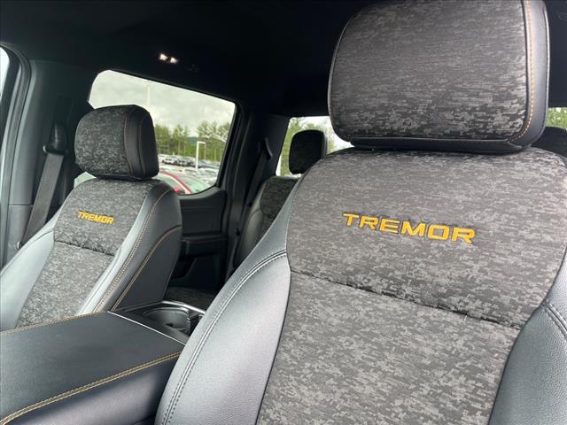 2022 Ford F-150 Tremor - Photo 8