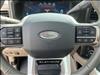 2025 Ford F-250 Super Duty Platinum