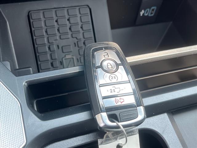 2025 Ford F-250 Super Duty Platinum