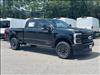 2025 Ford F-250 Super Duty Platinum