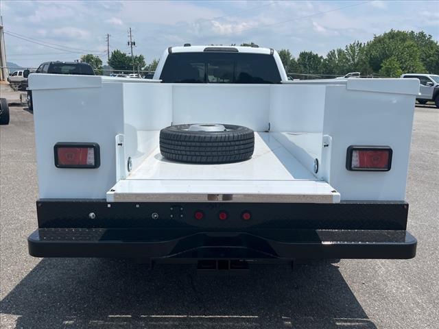 2025 Ford F-350 Super Duty XL DRW