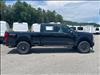 2025 Ford F-250 Super Duty Platinum