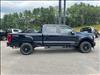 2025 Ford F-250 Super Duty XL