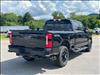 2025 Ford F-250 Super Duty Lariat
