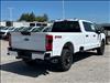 2024 Ford F-250 Super Duty XL