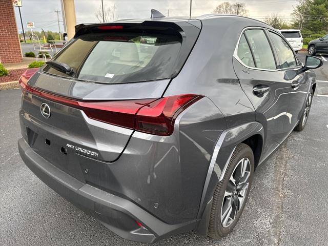 2025 Lexus UX 300h F SPORT Design