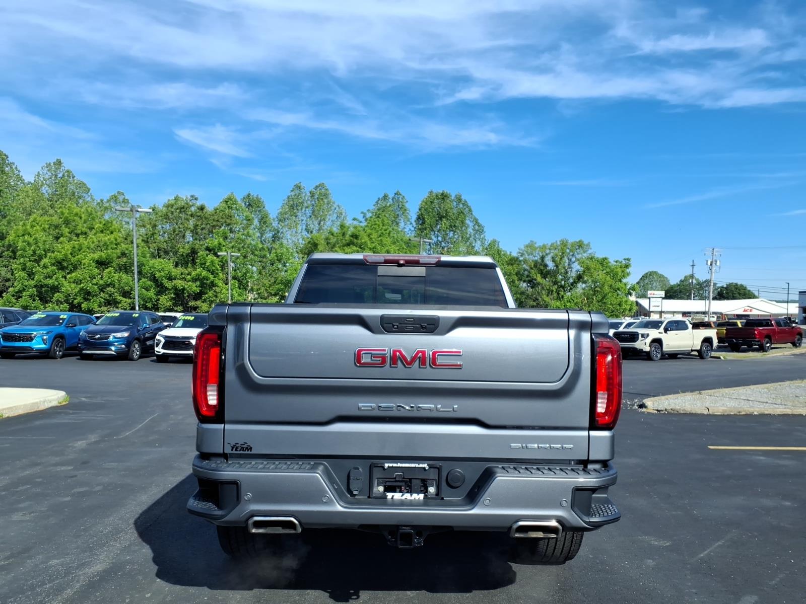 2019 GMC Sierra 1500 Denali - 5