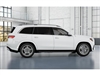 2025 Mercedes-Benz GLS GLS 450