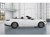 2025 Mercedes-Benz CLE CLE 300 4MATIC