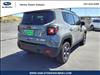 2020 Jeep Renegade North Edition