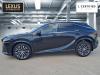 2023 Lexus RX 350 RX 350 Premium Plus