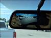 2025 Chevrolet Express RWD 3500 155  LS