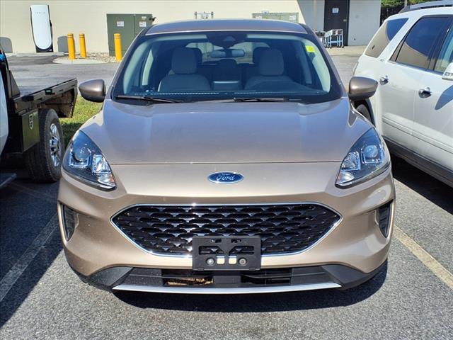 2020 Ford Escape SE FWD