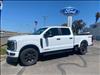 2025 Ford F-250 Super Duty XL