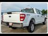 2023 Ford F-150 STX