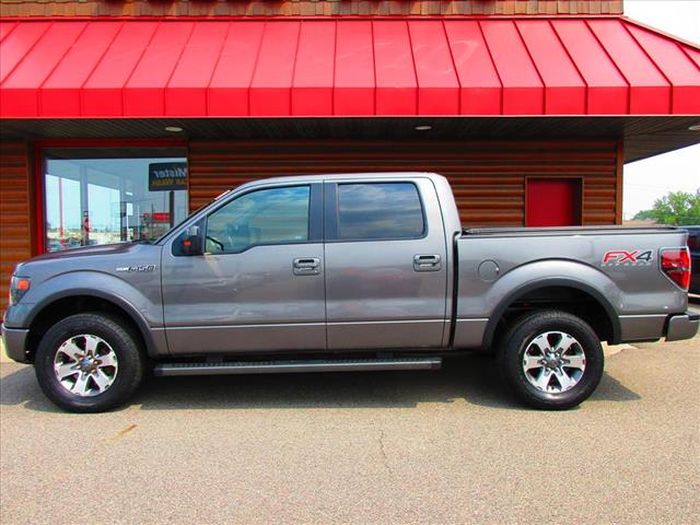 2013 Ford F-150 FX4 - Photo 2