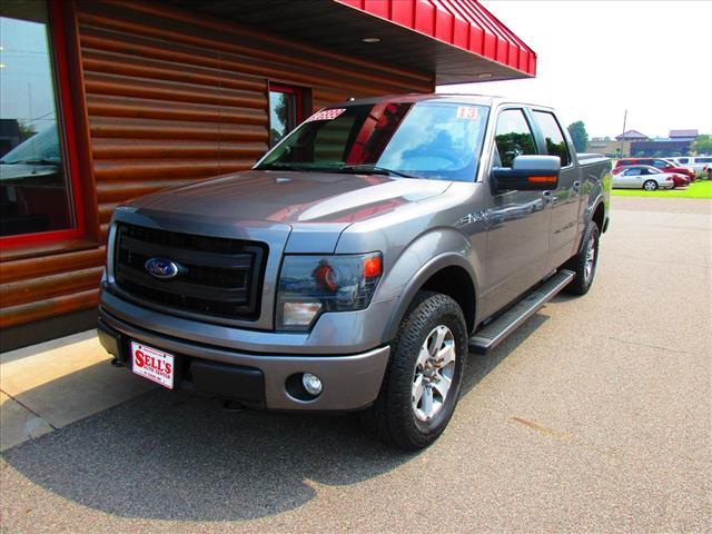 2013 Ford F-150 FX4 - Photo 3