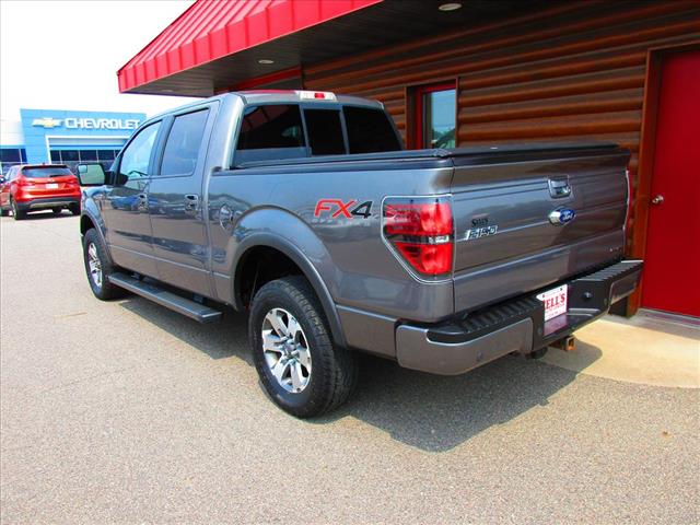 2013 Ford F-150 FX4 - Photo 5