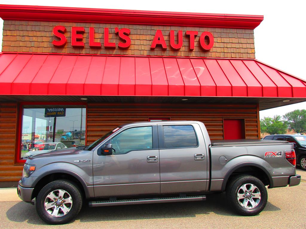 2013 Ford F-150 FX4 - main photo