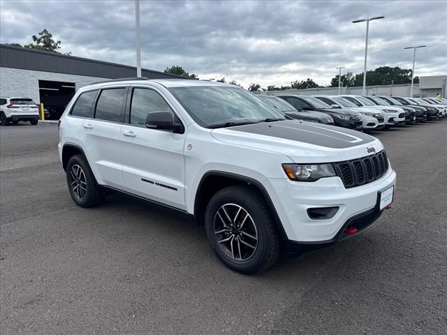 2020 Jeep Grand Cherokee Trailhawk - Photo 10