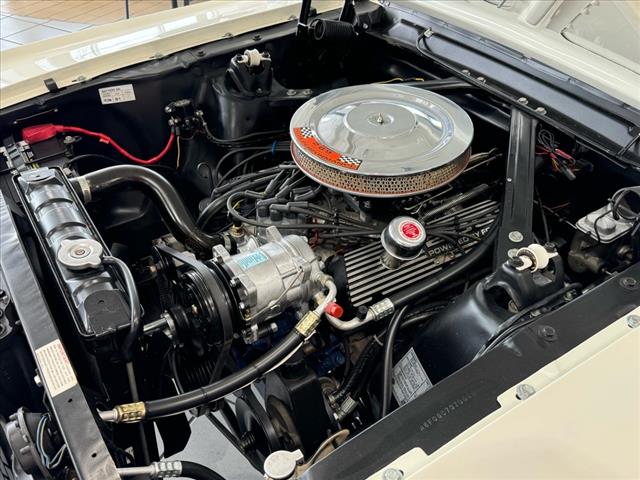 1966 Ford Mustang G.T. 350 - Photo 20