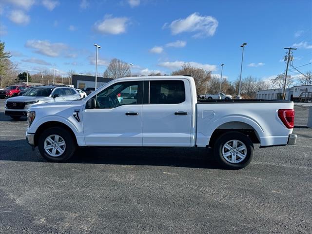 2023 Ford F-150 XL - Photo 2