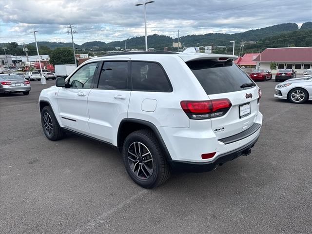 2020 Jeep Grand Cherokee Trailhawk - Photo 4