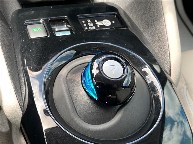 2020 Nissan LEAF SL PLUS