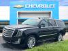 2019 Cadillac Escalade ESV Platinum Edition