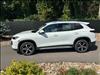 2025 Volkswagen Tiguan SE